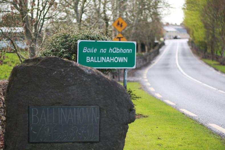 Home Ballinahown Village